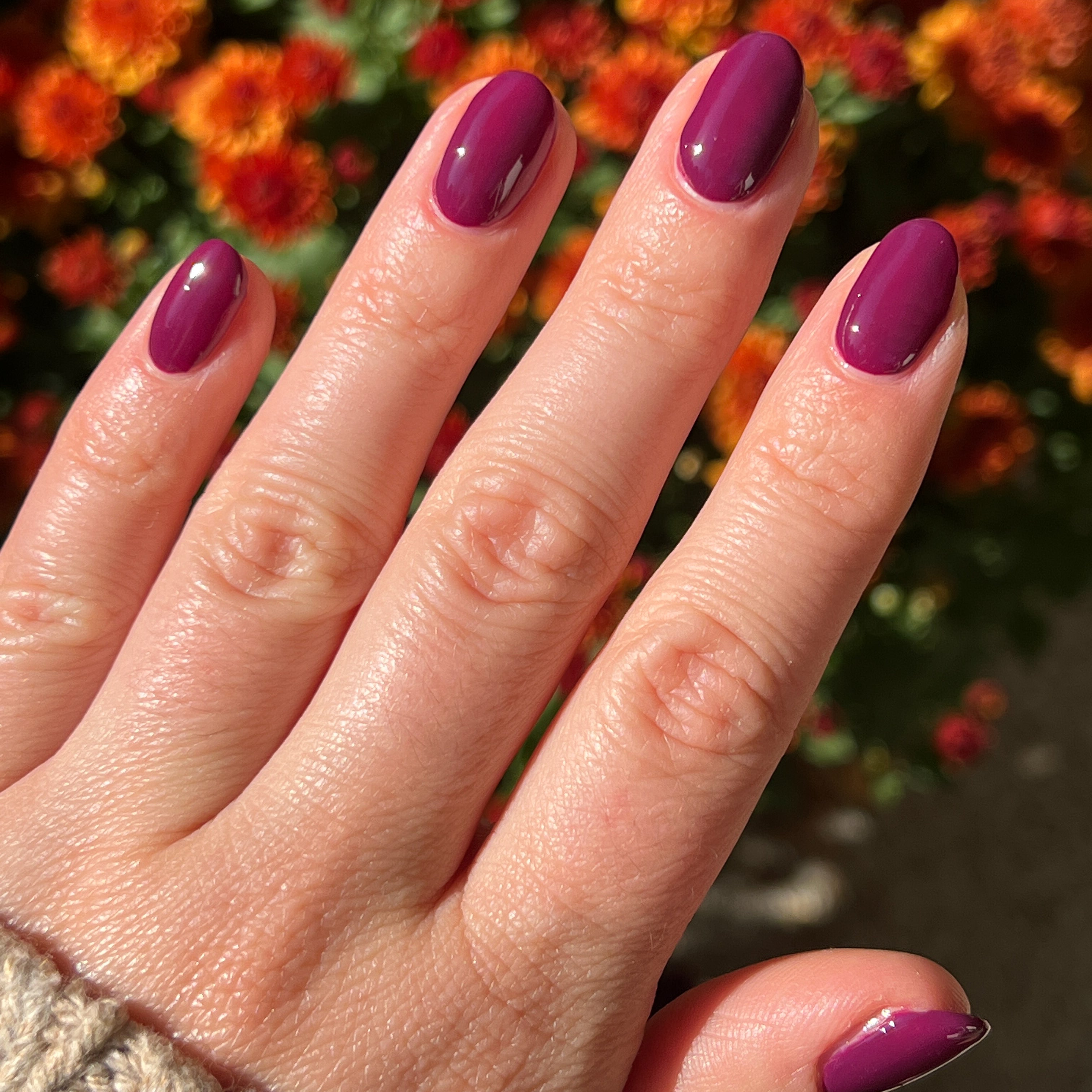 Hand with almond-shaped nails painted in rich mulberry purple Plaza gel polish under sunlight with fall flowers background