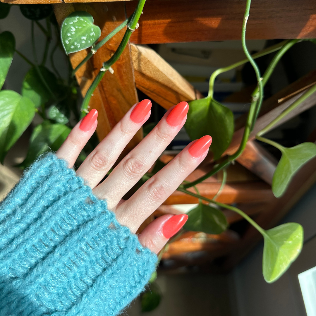 Coral Jelly - Press-On | Medium | Oval showing hand with medium oval semi-sheer coral press-on nails in natural light near plants
