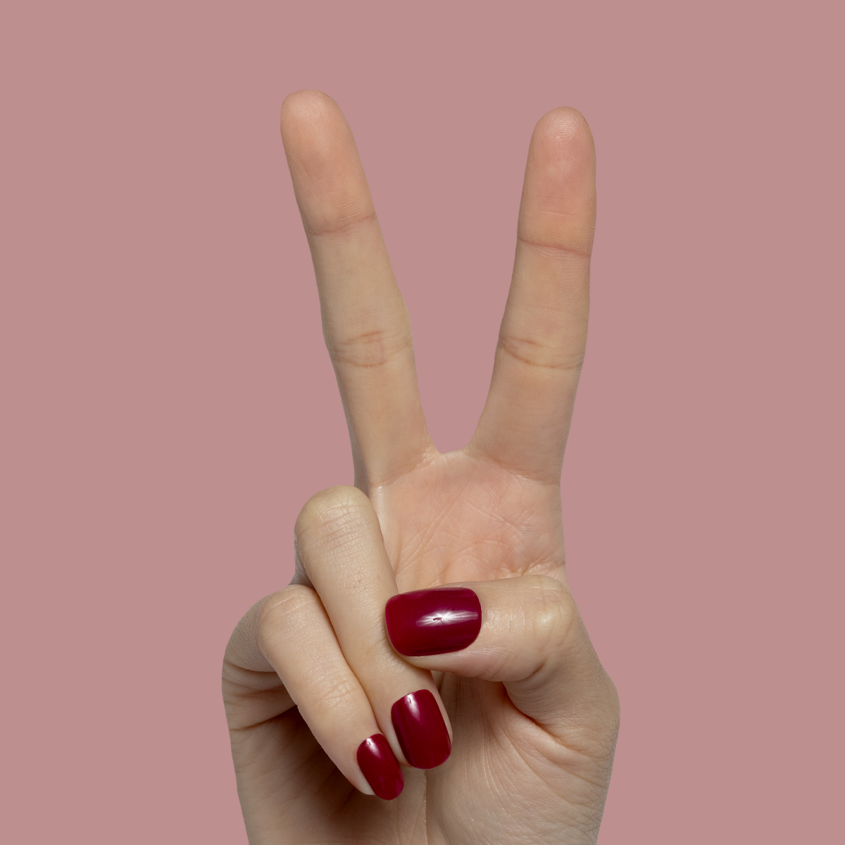 Mulberry | Extra Short | Squoval - Tab Press-On with deep maroon glossy false nails on hand against muted rose background