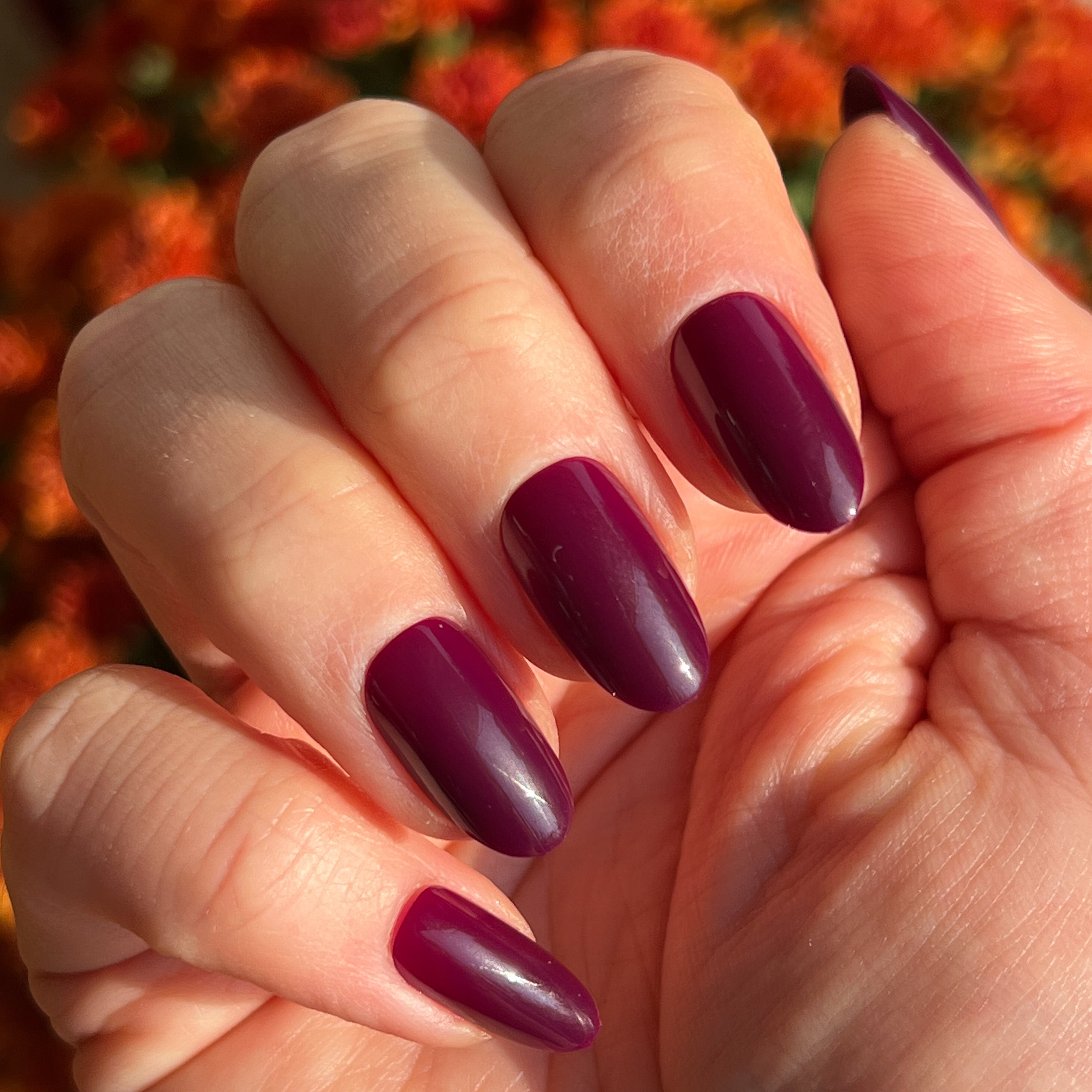 Plaza | Oval | Medium deep mulberry purple press-on manicure with medium oval false nails for easy at-home mani