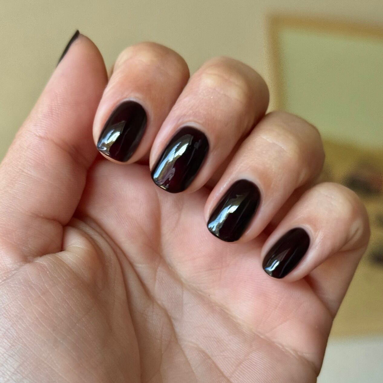Shop Til You Drop vampy nearly black red gel polish on short natural nails for a glossy mani by Olive and June