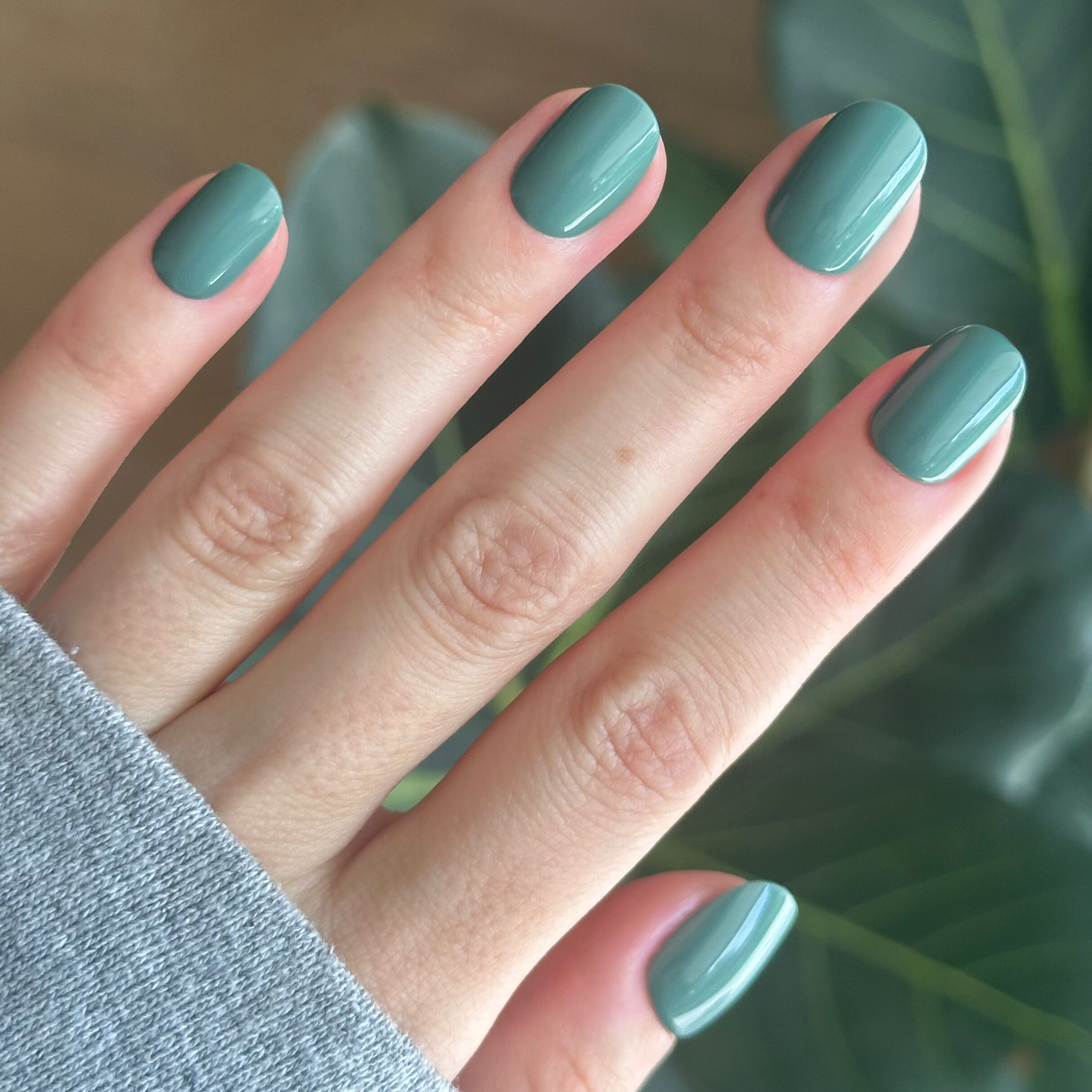 Still Life of Flowers - Tab Press-On | Extra Short | Round mossy green false nails for an easy at-home mani by Olive and June