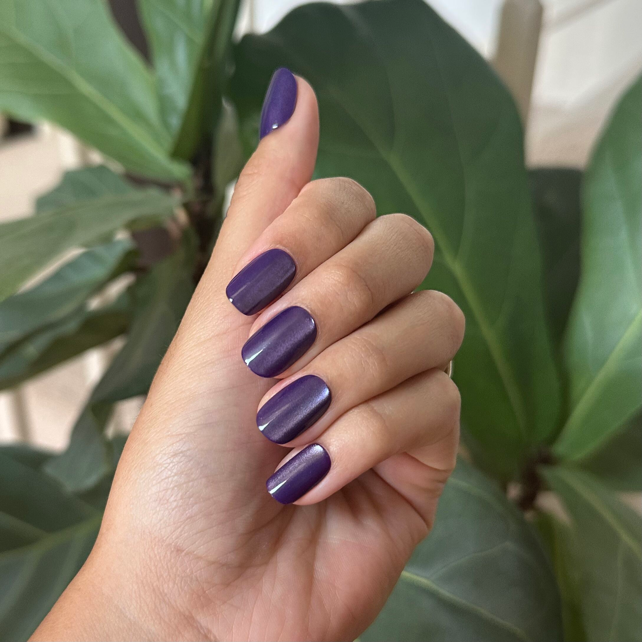 Velvet Pouf Velvet - Press-On | Short | Squoval dark purple short squoval nails with soft velvet magnetic finish for easy at home mani