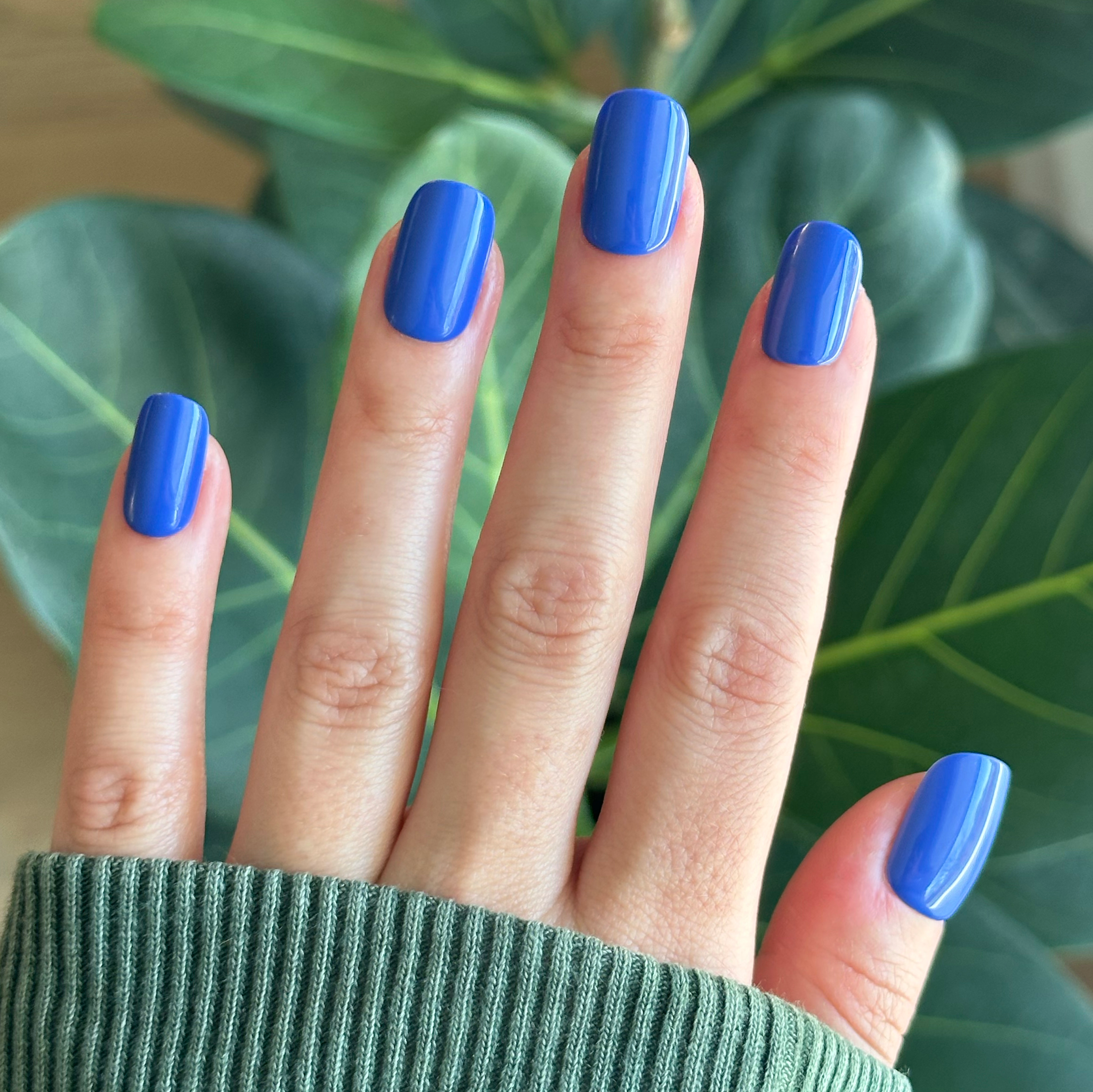Breezy | Short | Squoval - Tab Press-On nails in bright cobalt blue for easy, vibrant at-home manicure application