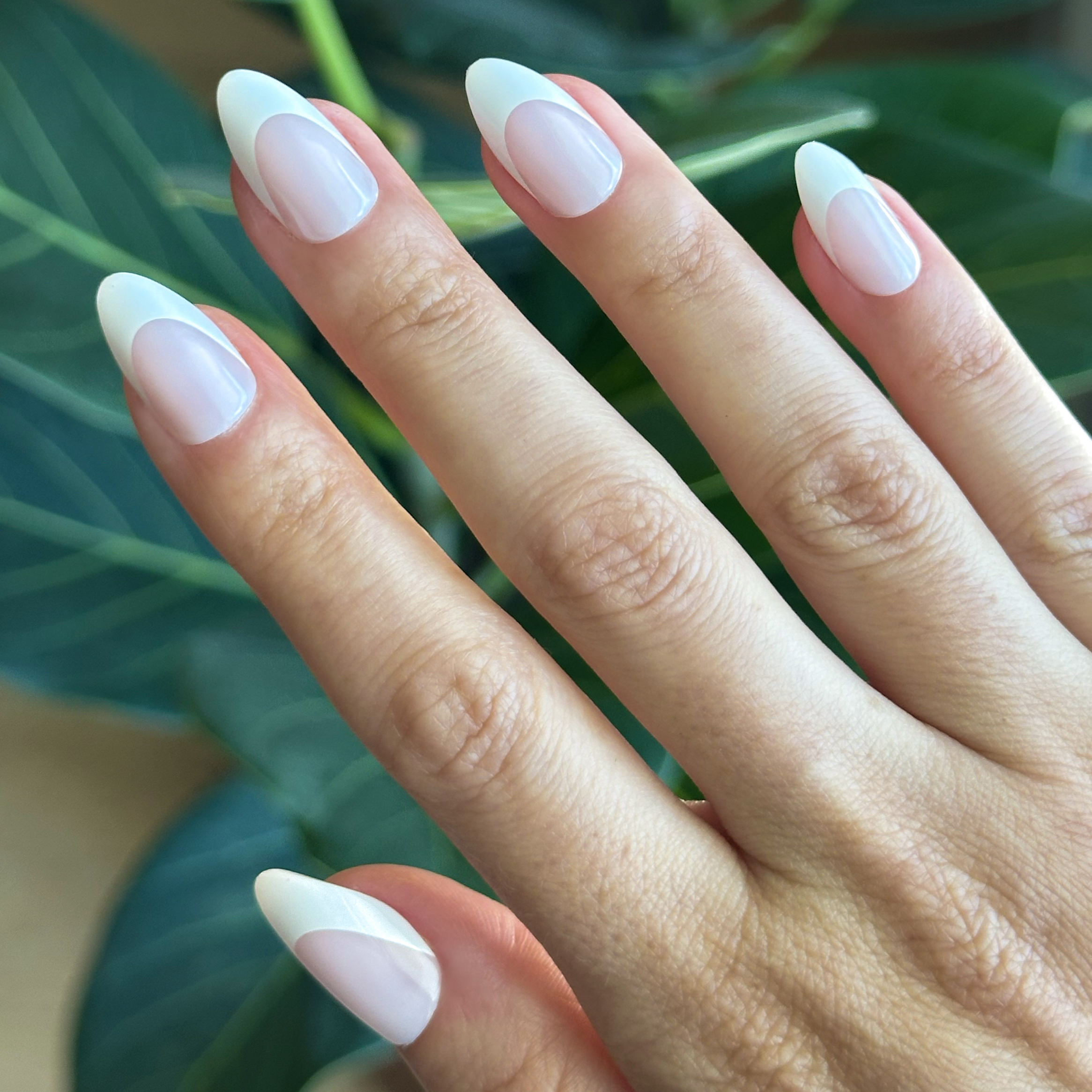 Thick French - Press-On | Medium | Almond featuring crisp white tips on medium almond-shaped false nails for easy at-home mani