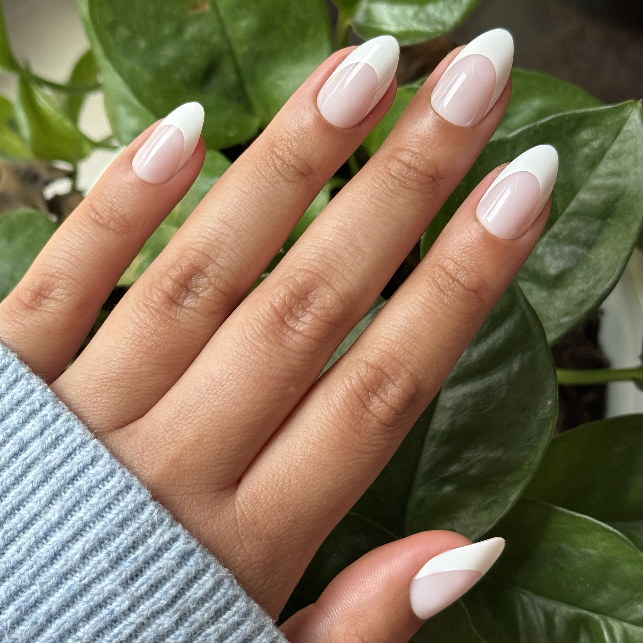 Thick French - Press-On | Medium | Almond showing crisp bold white tips on medium almond-shaped false nails for easy at-home mani